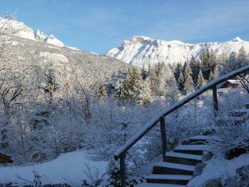Bed & Breakfast Chalet Des Alpes