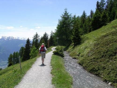 Bed & Breakfast Chalet Des Alpes