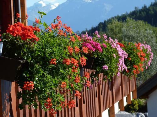 Bed & Breakfast Chalet Des Alpes