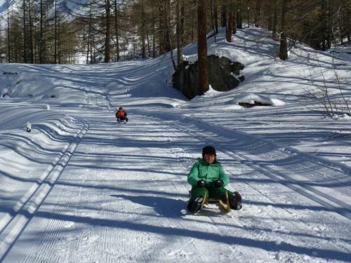 Bed & Breakfast Chalet Des Alpes