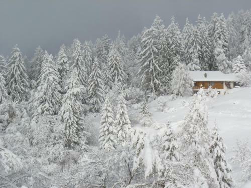 Bed & Breakfast Chalet Des Alpes