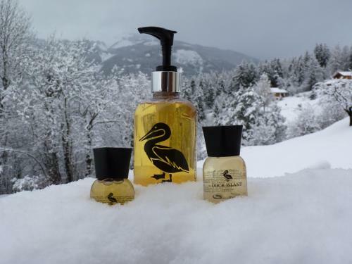 Bed & Breakfast Chalet Des Alpes