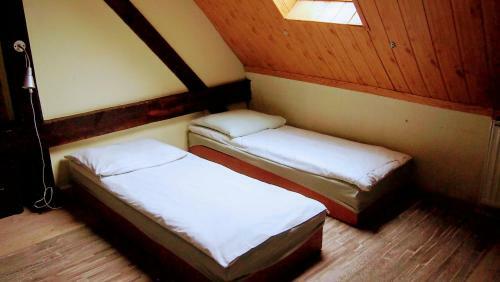 Hostel Baza 15