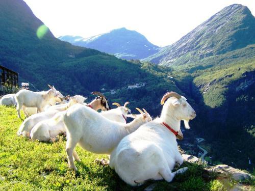 Agroturismo Wester�s Gard