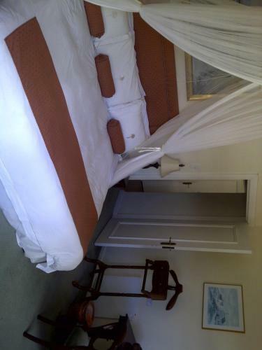 Hostal Palm House Luxury Guest House