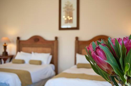 Hostal Palm House Luxury Guest House