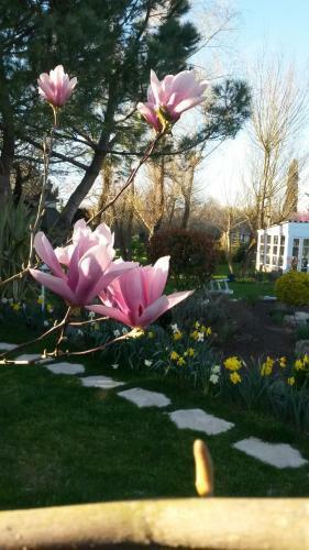 Bed & Breakfast Le Clos De Saint Amour
