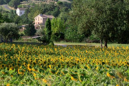 Hostal Agriturismo Agra Mater