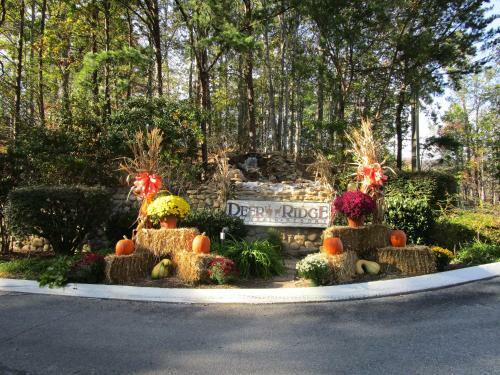 Hotel Deer Ridge Mountain Resort