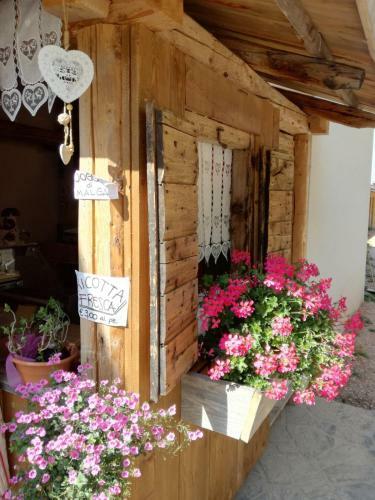 Hostal Malga Stramaiolo