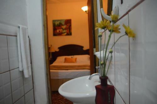 Hotel Posada Fuente Castalia