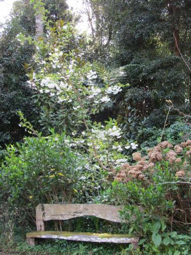 Bed & Breakfast Bellawongarah At Berry