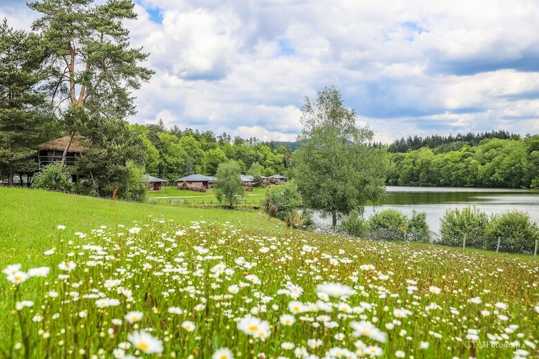 Hotel Domaine Des Mon�di�res