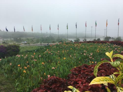 Hotel Thansur Bokor Highland Resort