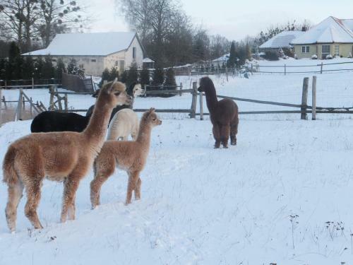 Agroturismo Seeblick
