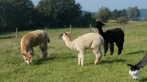 Agroturismo Seeblick