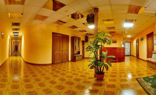 Hotel Lama 2