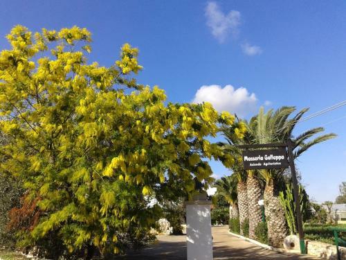 Agroturismo Masseria Galleppa