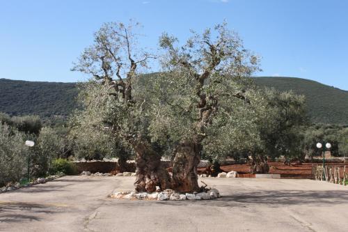 Agroturismo Masseria Galleppa