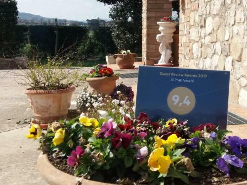 Hostal Ai Prati Vecchi