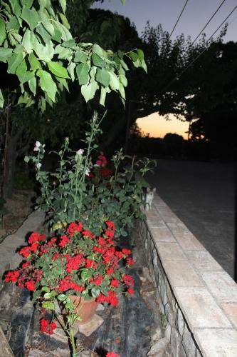 Hostal Ai Prati Vecchi