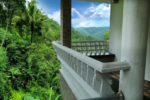 Spring And Valley View