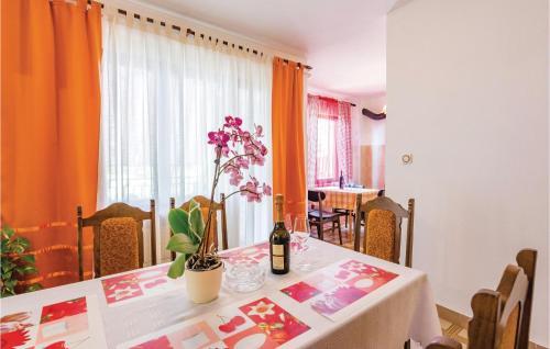 Apartment Svetvincenat 3