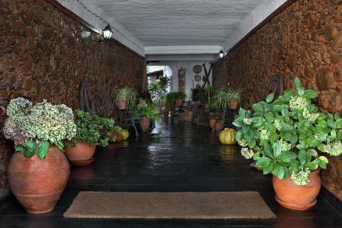 Agroturismo Casa Da Eira