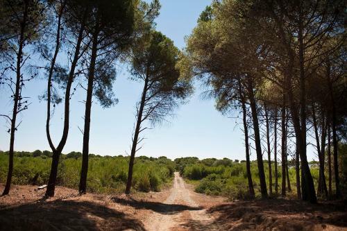 Hostal Masseria Macchia & Relais San Pio