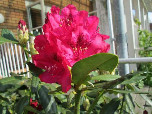 Hostal Stf Br�landa Vandrarhem