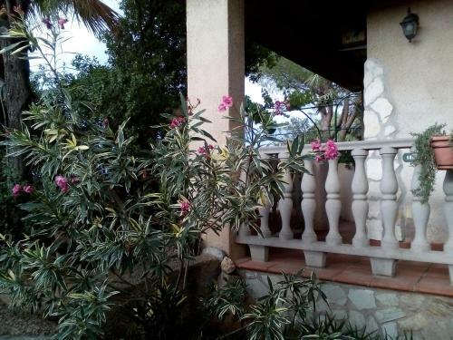 B&B Il Vigneto