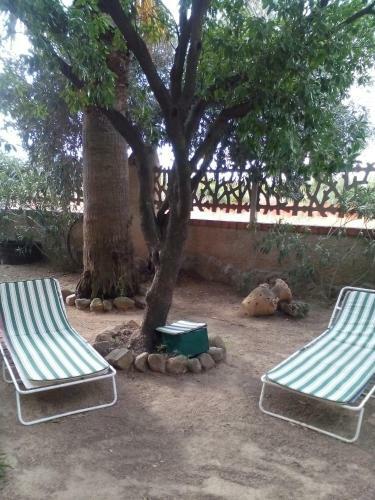 B&B Il Vigneto