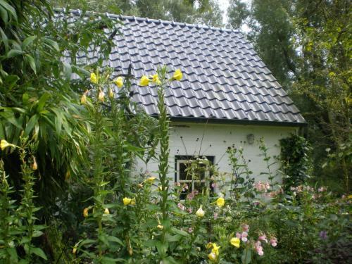 Hostal Cozy Holiday Home In Kollumerland Near Forest