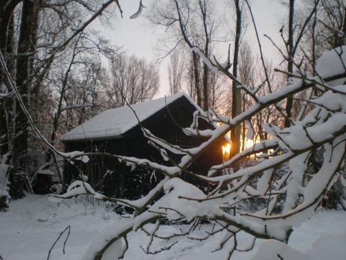 Hostal Cozy Holiday Home In Kollumerland Near Forest