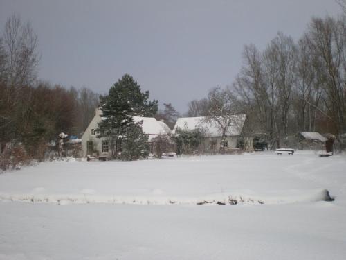 Hostal Cozy Holiday Home In Kollumerland Near Forest