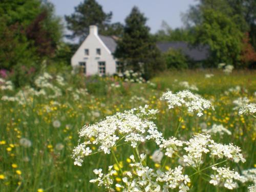 Hostal Cozy Holiday Home In Kollumerland Near Forest