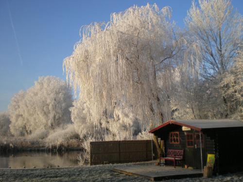 Hostal Cozy Holiday Home In Kollumerland Near Forest