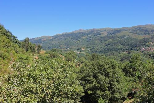 Agroturismo Encostas Da Torre