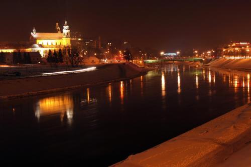 Vilnius Center Apartment - Elizabeth