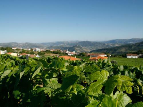 Agroturismo Quinta Manhas Douro