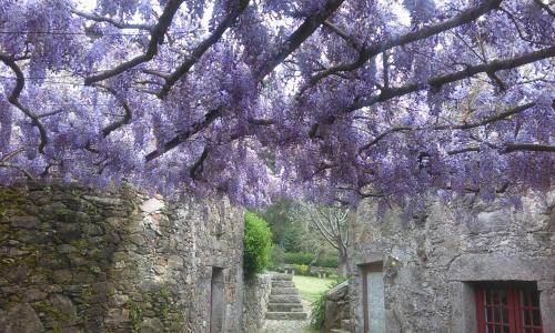 Agroturismo Casa Da Eira De Moledo