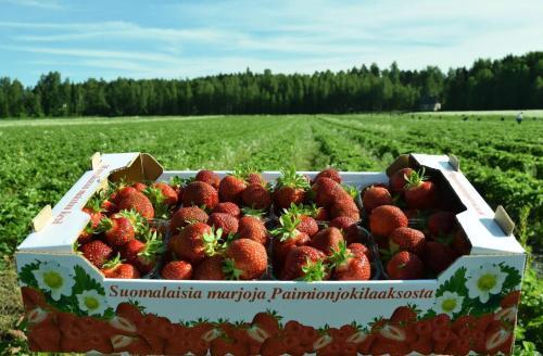 Agroturismo Alanteen Tila