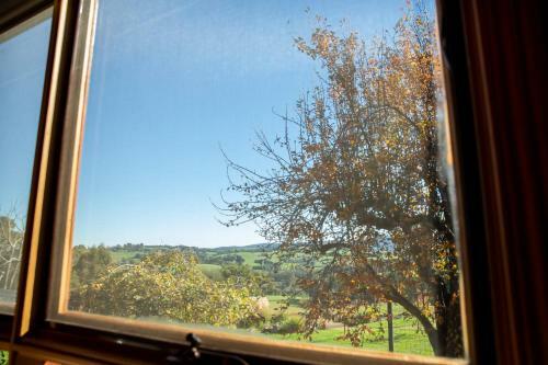 Hostal Pear Tree Cottage Bed And Breakfast