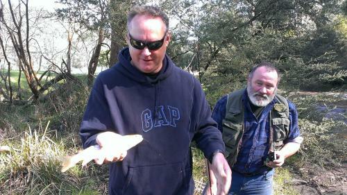 Hostal Pear Tree Cottage Bed And Breakfast