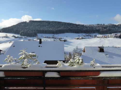 Apartamento Schwarzwald-ferienwohnungen Begert