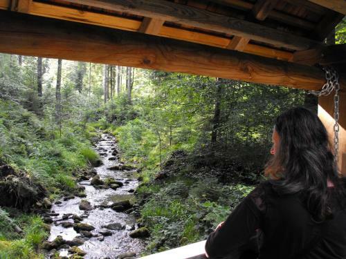 Apartamento Schwarzwald-ferienwohnungen Begert