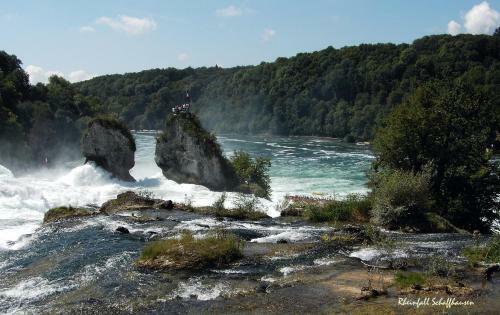 Apartamento Schwarzwald-ferienwohnungen Begert