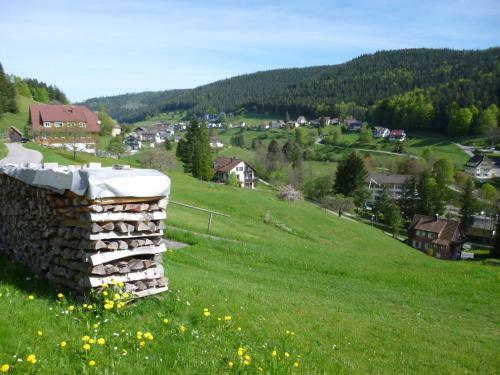Apartamento Schwarzwald-ferienwohnungen Begert