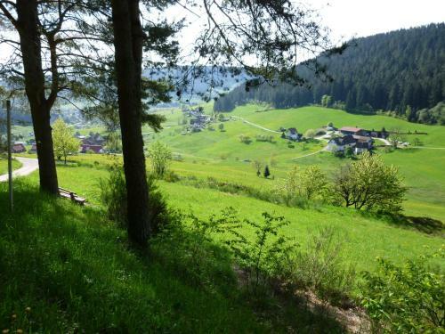 Apartamento Schwarzwald-ferienwohnungen Begert