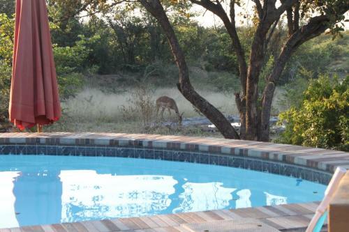 Lodge Silonque Bush Estate
